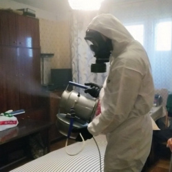 Дезинфекция от клопов в Белеве
